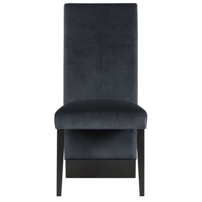 Stacey - Contemporary Dining Chair (Set of 2)
