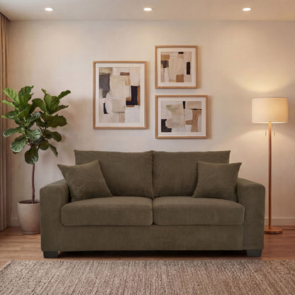2 Seater Sofa, 2 Throw Pillows For Living Room