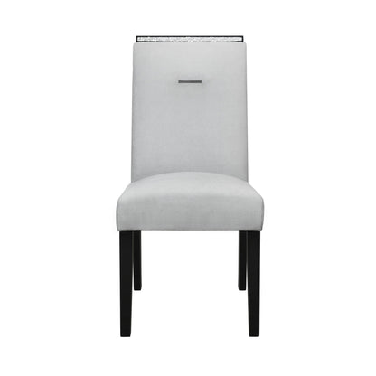 Ariya - Dining Chair (Set of 2) - Black / Gray