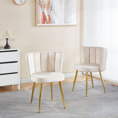 Ergonomic Dining Chair (Set of 2)