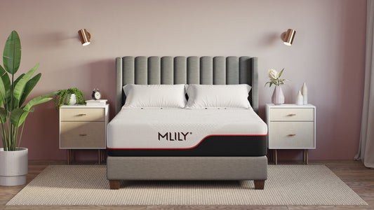 Mlily Dream Mattress