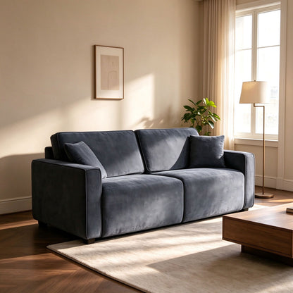 2 Seater Pull Out Sofa Bed, Modern Convertible Sleeper