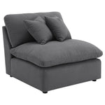 Dark Gray