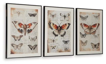 Ashley Express - Jossletts Wall Art Set (3/CN)