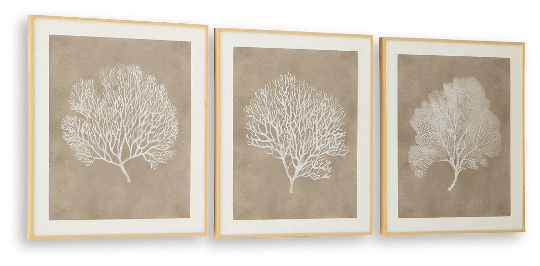 Ashley Express - Hendridge Wall Art Set (3/CN)
