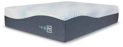 M50531