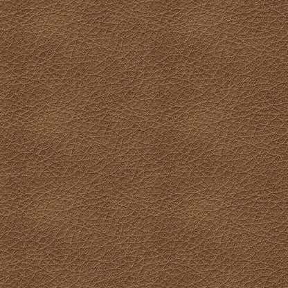 5560338