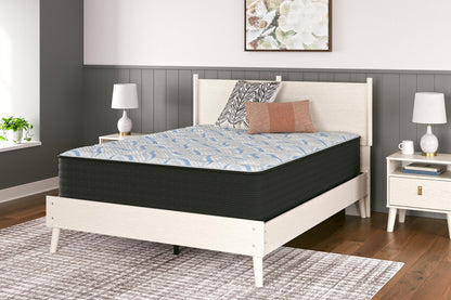 M40631