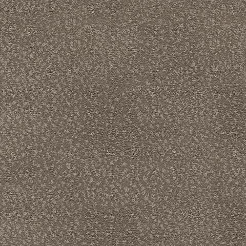 PC5300525