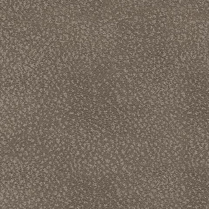 PC5300525