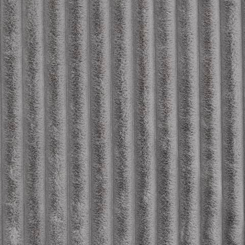 A1001081T