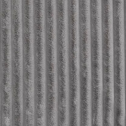 A1001081T