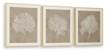 Ashley Express - Hendridge Wall Art Set (3/CN)