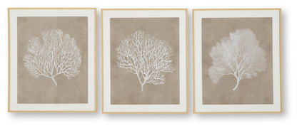 Ashley Express - Hendridge Wall Art Set (3/CN)