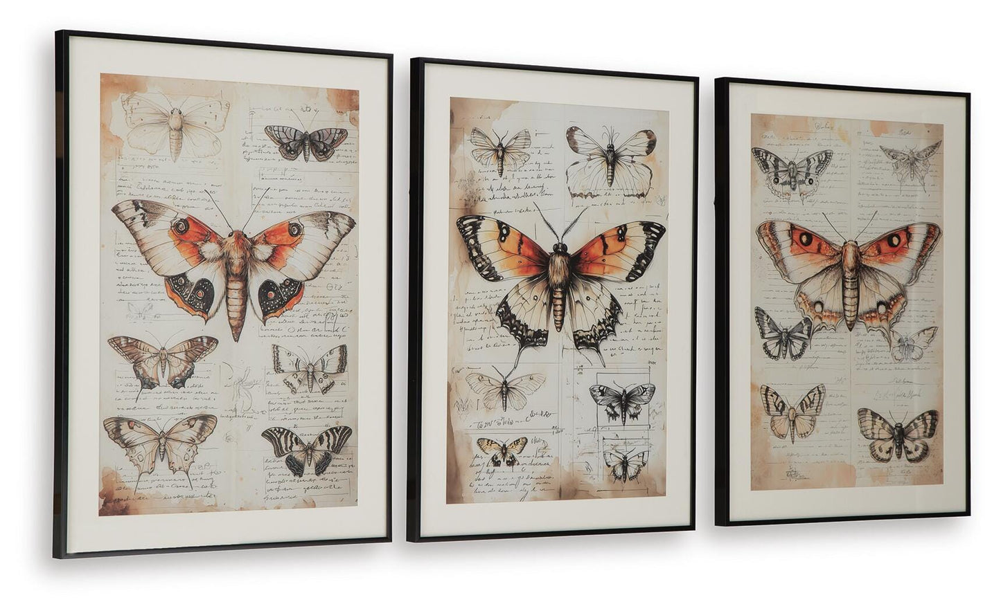 Ashley Express - Jossletts Wall Art Set (3/CN)