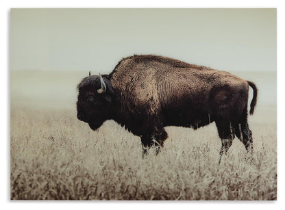 Ashley Express - Brutus Wall Art