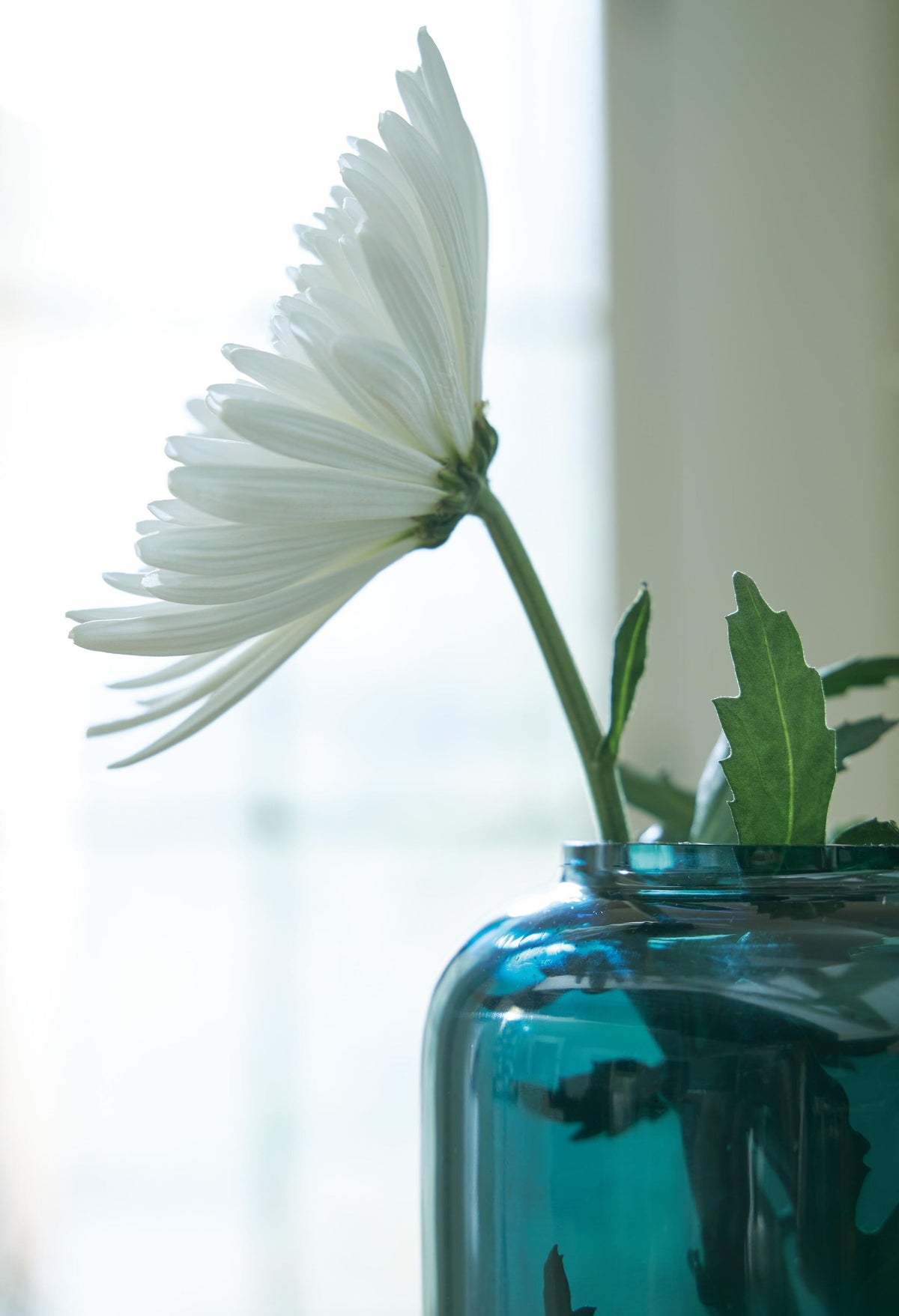 Ashley Express - Inisland Vase