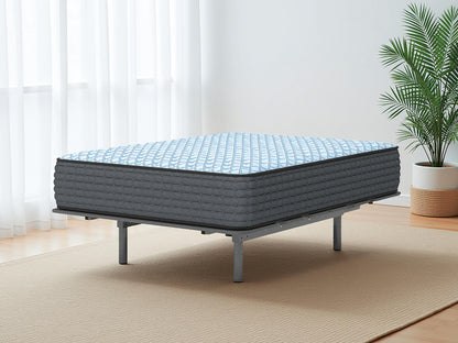 Ashley Express - Destin Cove Firm Queen Mattress