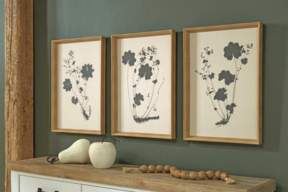 Ashley Express - Huddwick Wall Art Set (3/CN)