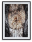 Ashley Express - Freyburn Wall Art